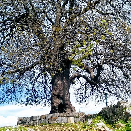 Tas Konak 4*